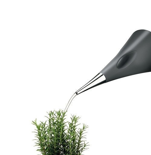 AquaStar Gieter - 2 liter - Grijs - Eva Solo